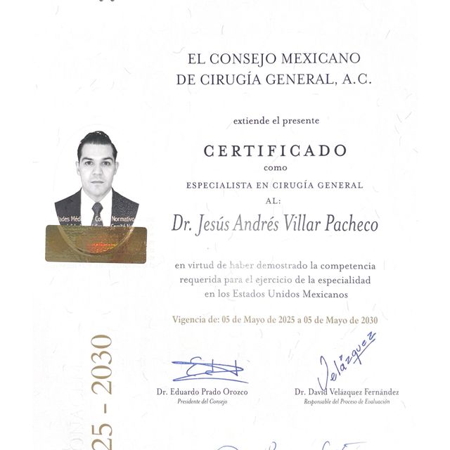 Ampliar imagen: certificate 1