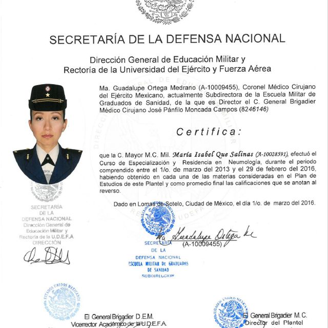 Ampliar imagen: certificate 2