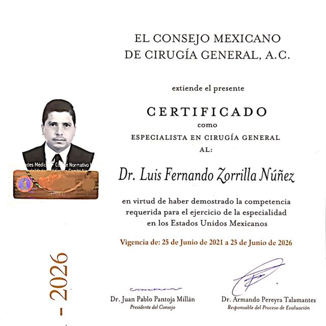 Ampliar imagen: certificate 2