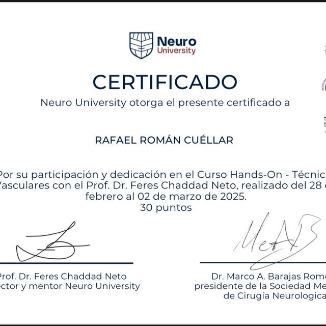 Ampliar imagen: certificate 13