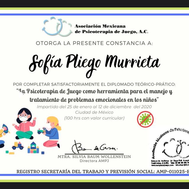 Ampliar imagen: certificate 1