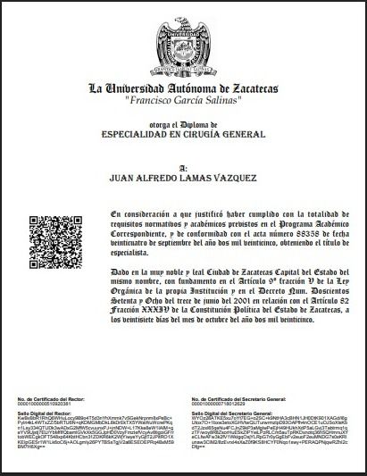 Ampliar imagen: certificate 4