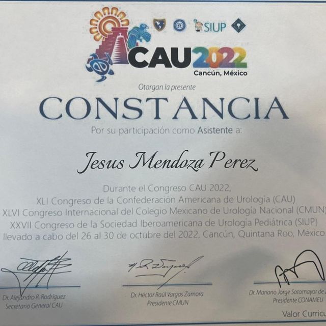 Ampliar imagen: certificate 3