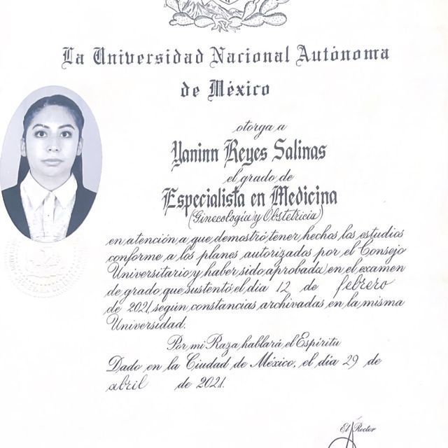 Ampliar imagen: certificate 2
