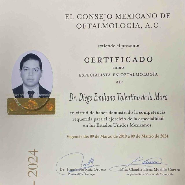 Ampliar imagen: certificate 2