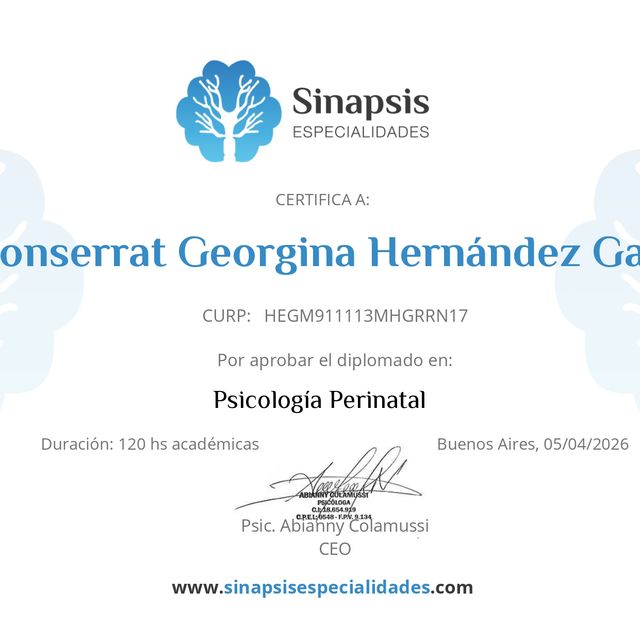 Ampliar imagen: certificate 1