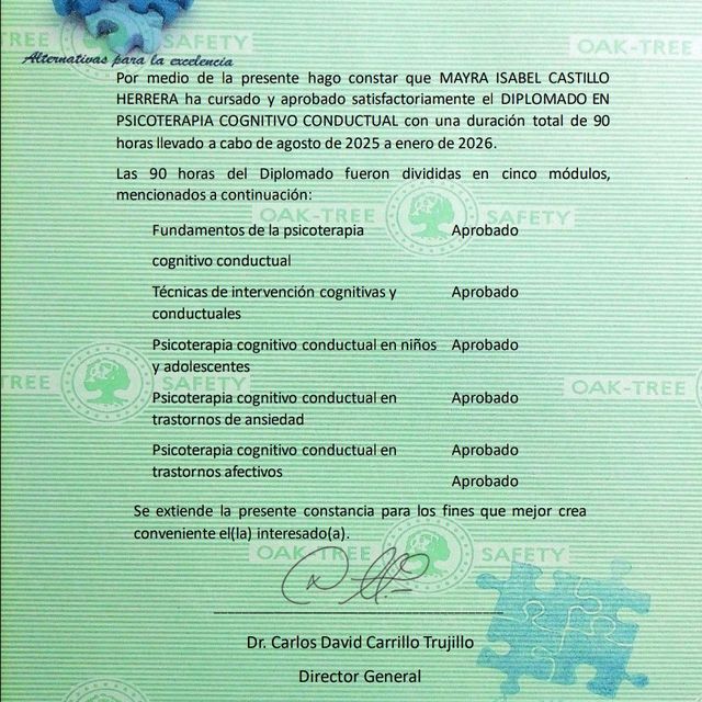 Ampliar imagen: certificate 2