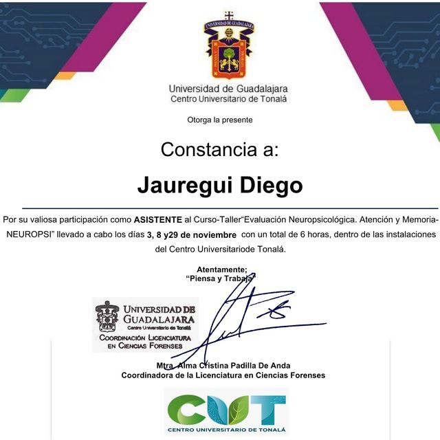 Ampliar imagen: certificate 9