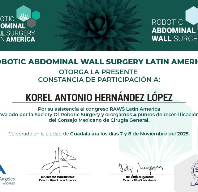 Ampliar imagen: certificate 2