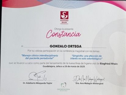 Ampliar imagen: certificate 12