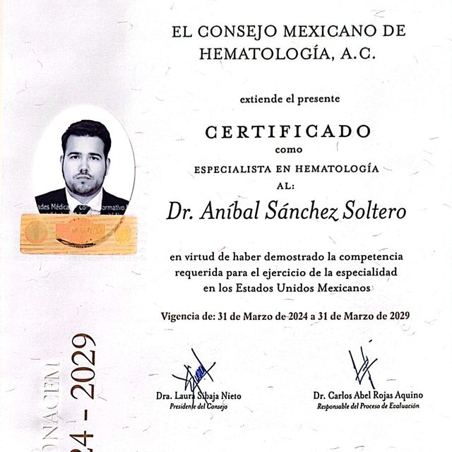 Ampliar imagen: certificate 1