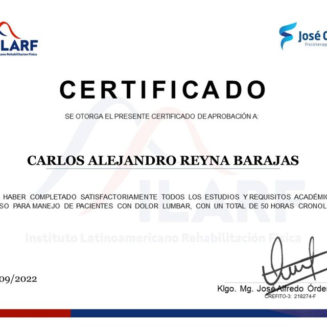 Ampliar imagen: certificate 24