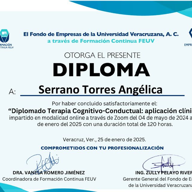Ampliar imagen: certificate 4