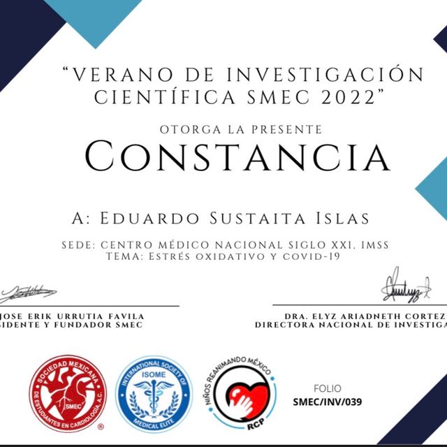 Ampliar imagen: certificate 3