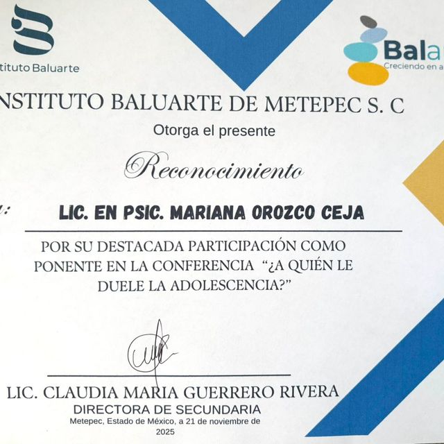 Ampliar imagen: certificate 28
