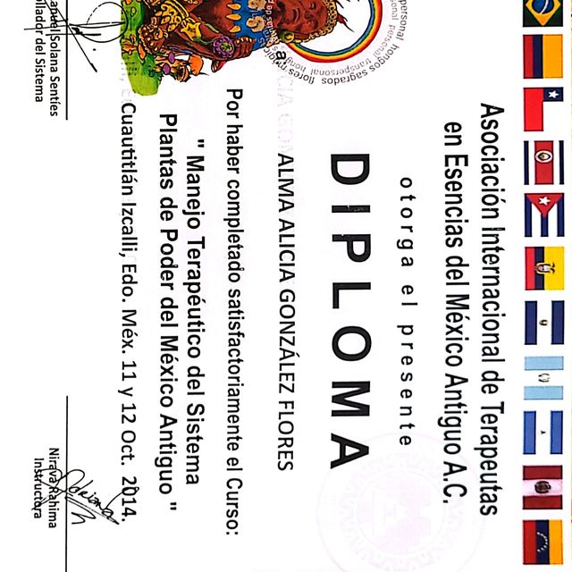 Ampliar imagen: certificate 26