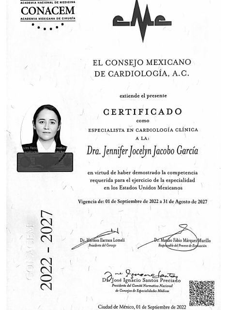 Ampliar imagen: certificate 3