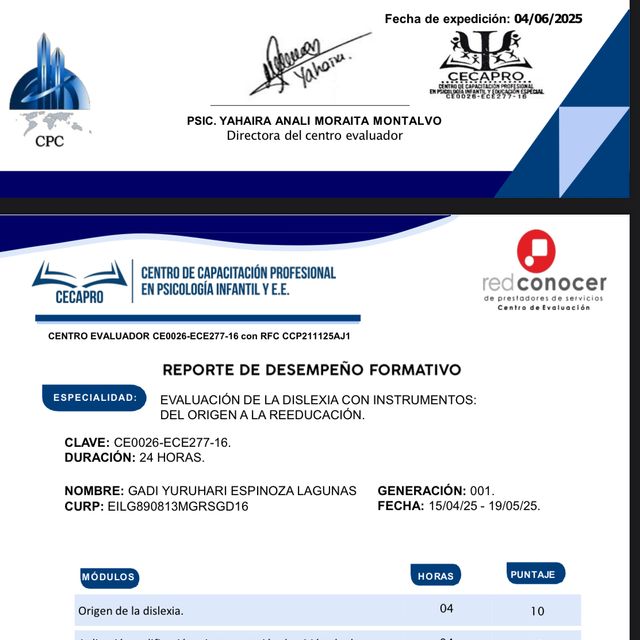 Ampliar imagen: certificate 3