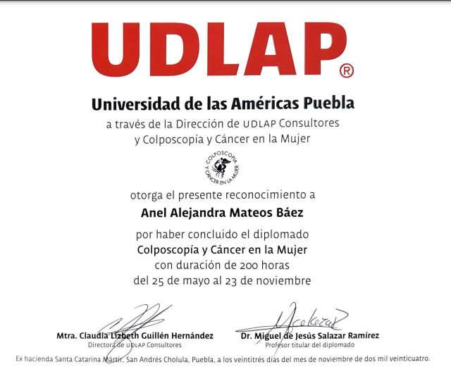 Ampliar imagen: certificate 2