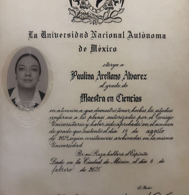 Ampliar imagen: certificate 5