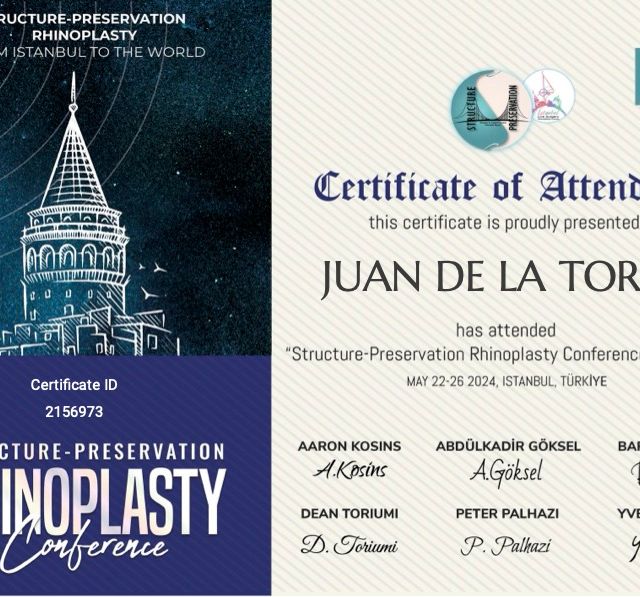 Ampliar imagen: certificate 3