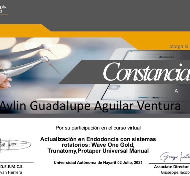 Ampliar imagen: certificate 2
