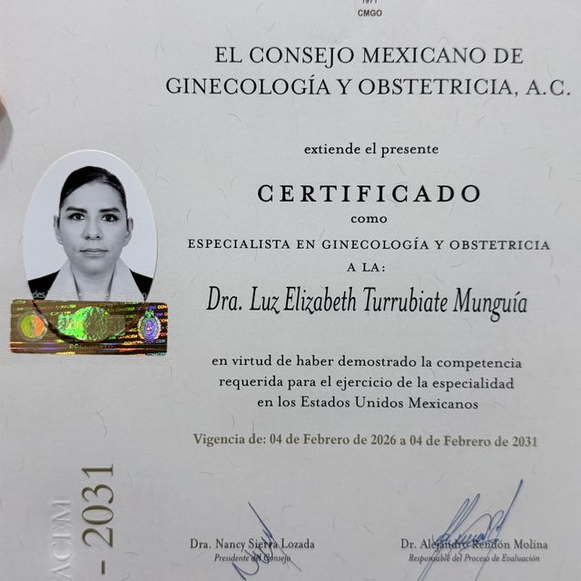 Ampliar imagen: certificate 1