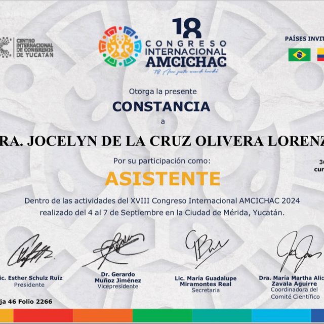Ampliar imagen: certificate 3