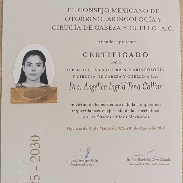 Ampliar imagen: certificate 6
