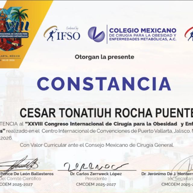 Ampliar imagen: certificate 67
