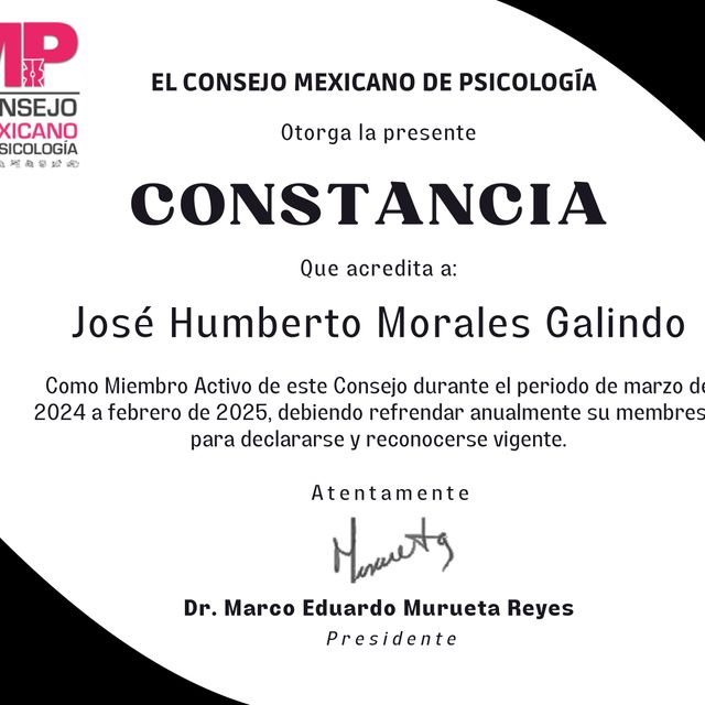 Ampliar imagen: certificate 3