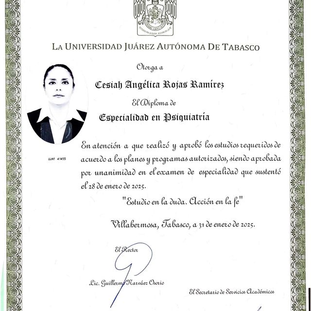Ampliar imagen: certificate 3