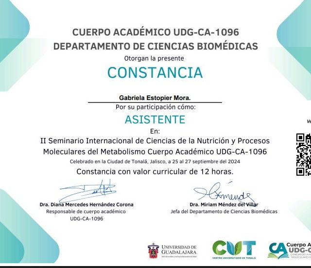Ampliar imagen: certificate 5