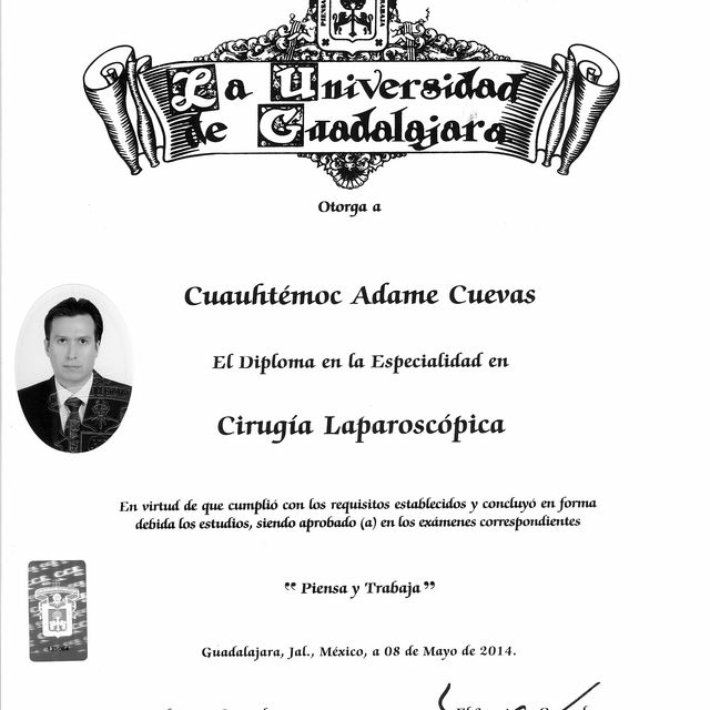 Ampliar imagen: certificate 3