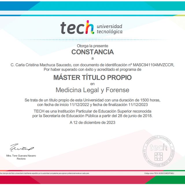 Ampliar imagen: certificate 7