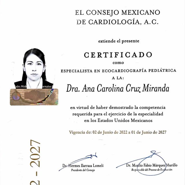 Ampliar imagen: certificate 2
