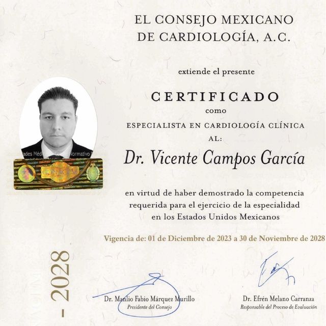 Ampliar imagen: certificate 1