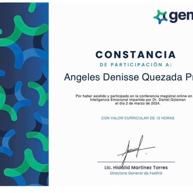 Ampliar imagen: certificate 8