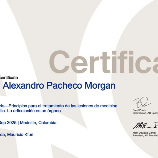Ampliar imagen: certificate 1