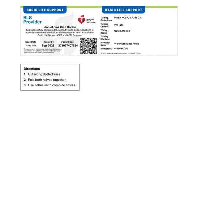 Ampliar imagen: certificate 4