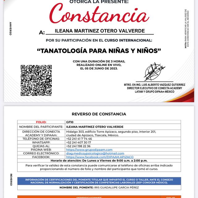 Ampliar imagen: certificate 7