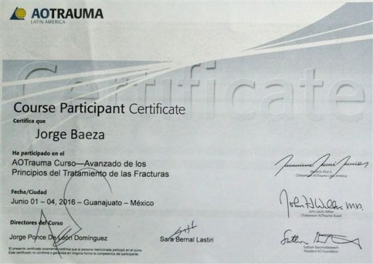 Ampliar imagen: certificate 4