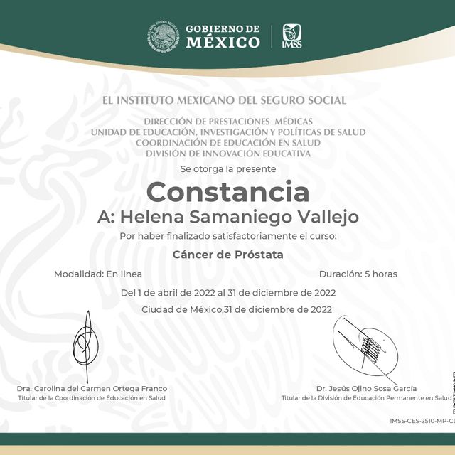 Ampliar imagen: certificate 2