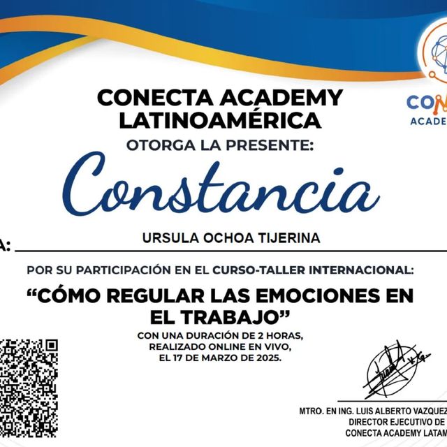 Ampliar imagen: certificate 5