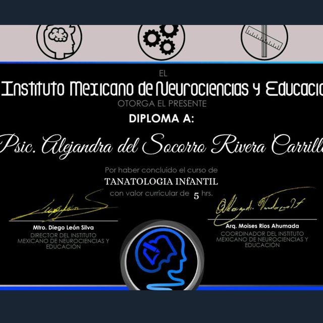 Ampliar imagen: certificate 3