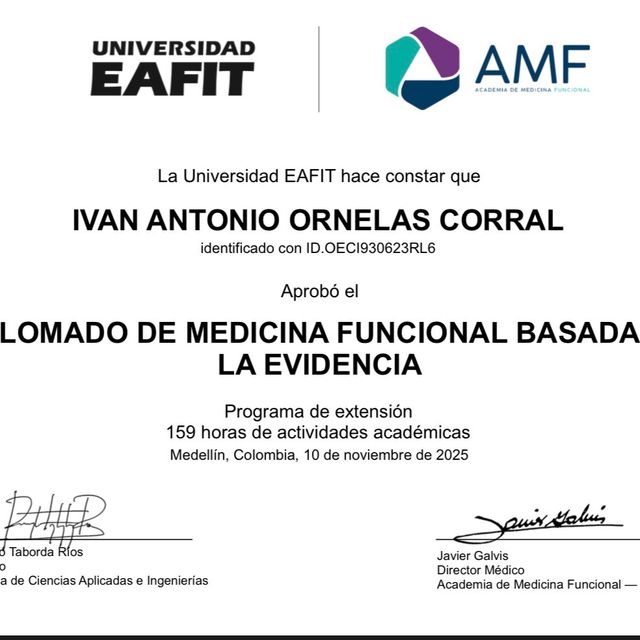 Ampliar imagen: certificate 28