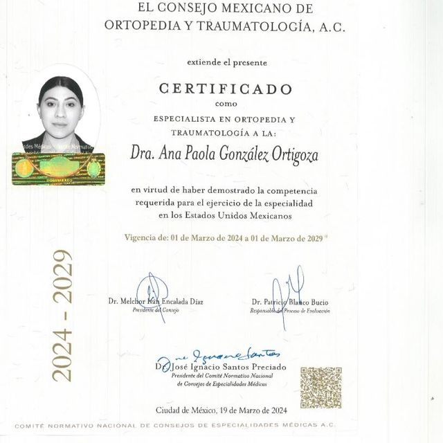 Ampliar imagen: certificate 1