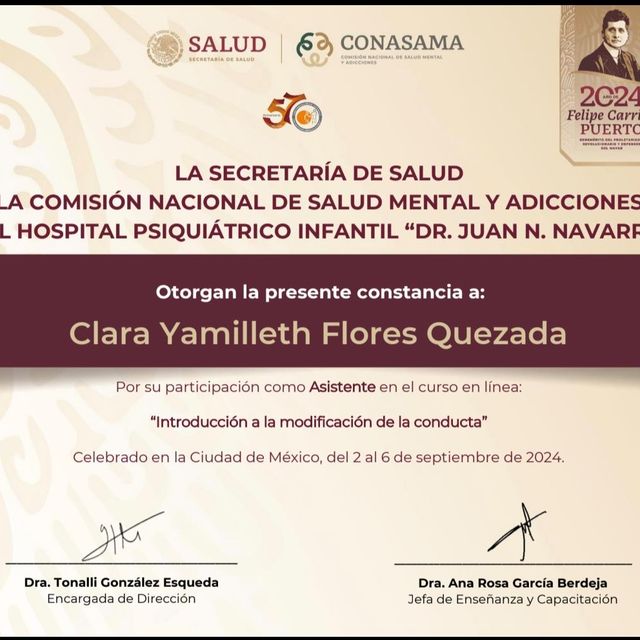 Ampliar imagen: certificate 19