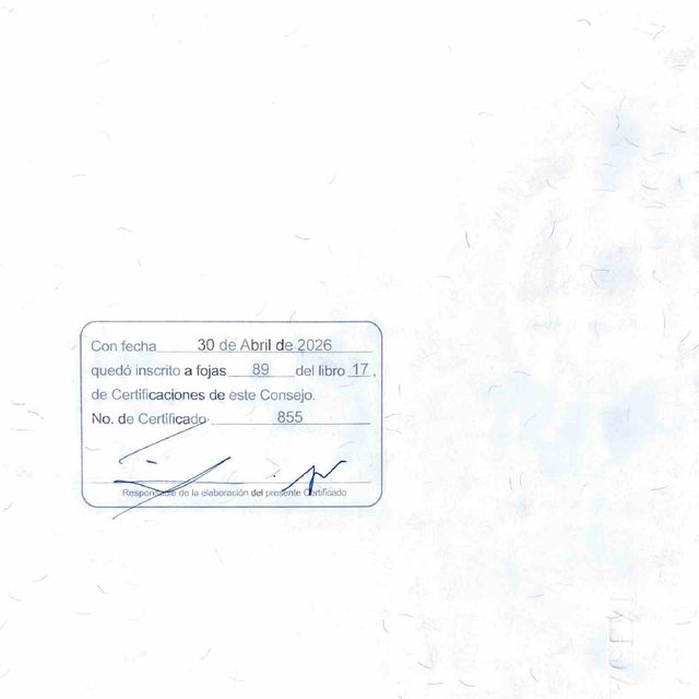 Ampliar imagen: certificate 2