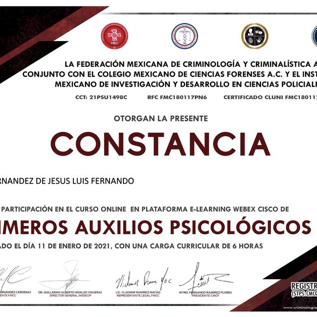 Ampliar imagen: certificate 2